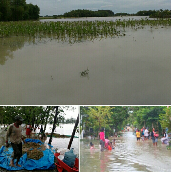 Banjir Menggenangi Ratusan Rumah Di Kecamatan Trucuk