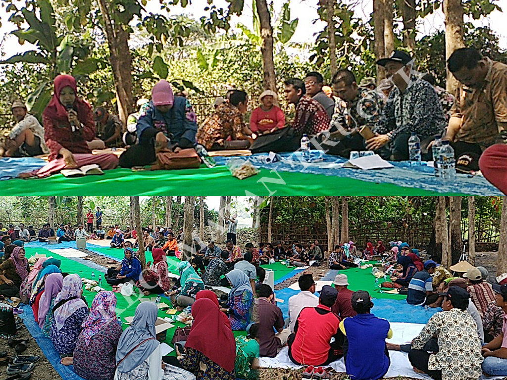 Pengembangan Kawasan Argopolitan Bidang Pertanian, Peternakan, Dan UMKM Di Kecamatan Trucuk