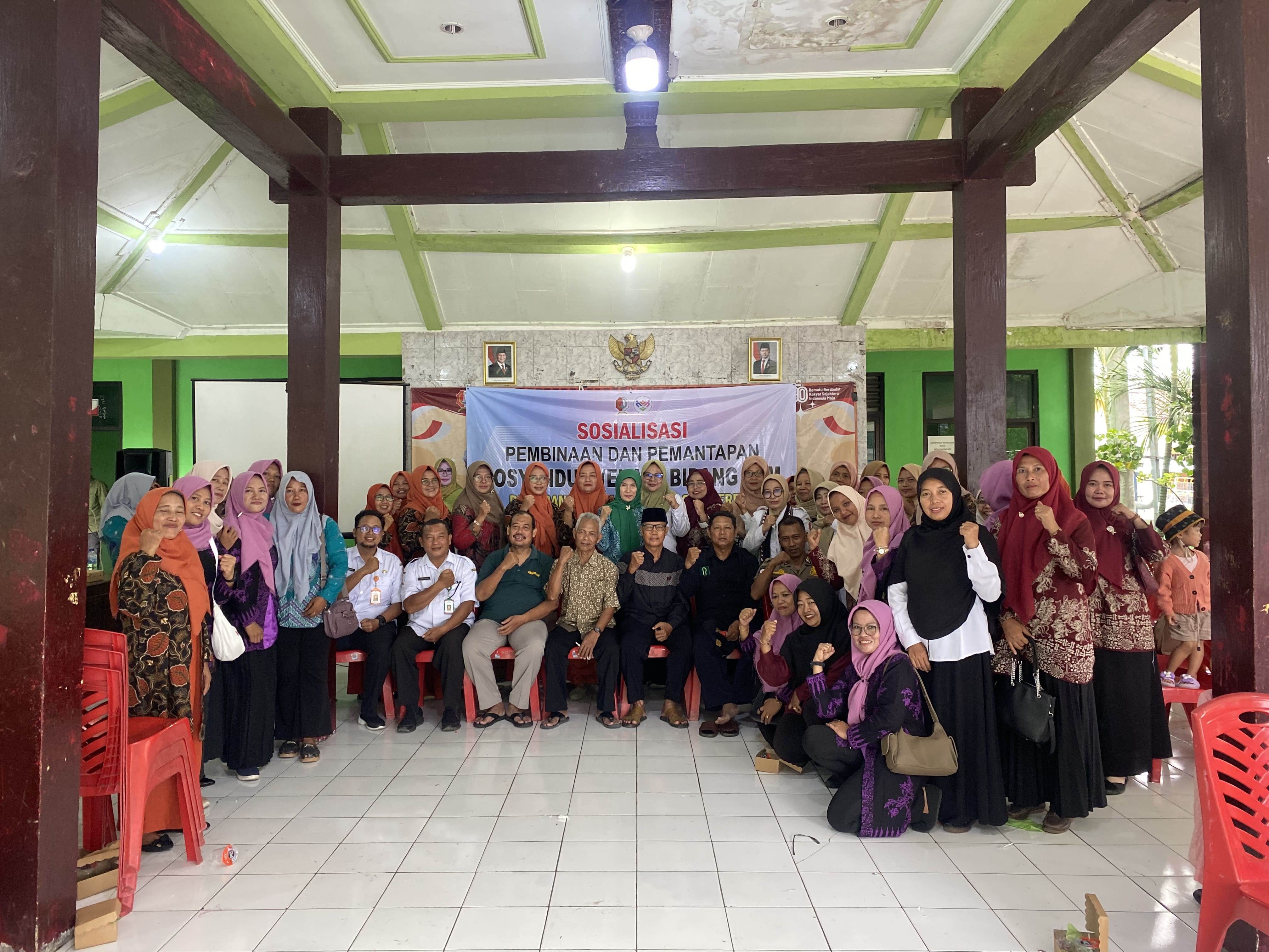Sosialisasi Pembinaan dan Pemantapan Posyandu 6 (Enam) Bidang SPM
