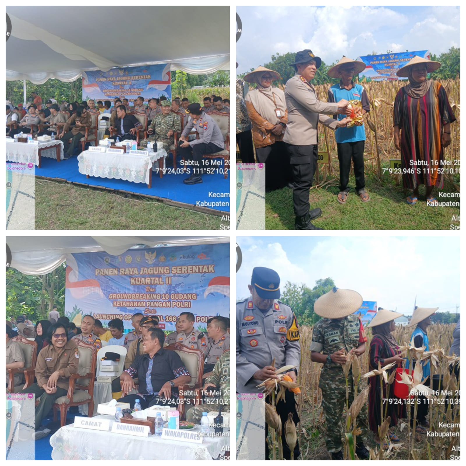 Sukses Gelar Panen Raya Jagung, Forkopimcam Trucuk Ikuti Launching Pangan Polri