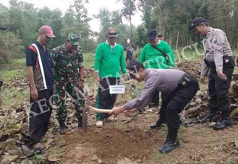 Kapolsek Pimpin Penanaman 1700 Pohon “Gerakan Penghijauan Lingkungan”