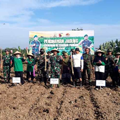 Kodim 0813 Bojonegoro Tanam Jagung Untuk Mendukung Hanpangan