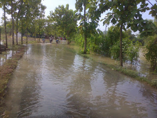 Banjir di Kecamatan Trucuk