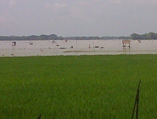 Banjir di Kecamatan Trucuk