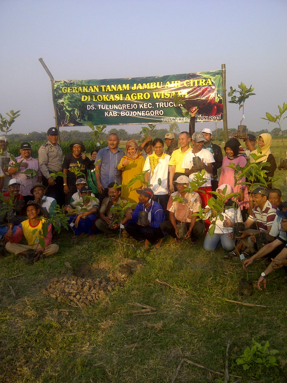 Tanam Jambu Kristal Desa Padang Trucuk